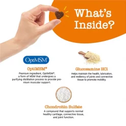 Zesty Paws Mobility Bites Duck Flavored Soft Chews Hip & Joint Supplement for Dogs -Oxbow || Zesty Paws Sales 106228 PT3. SY630 V1644980673