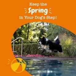 Zesty Paws Mobility Bites Duck Flavored Soft Chews Hip & Joint Supplement for Dogs -Oxbow || Zesty Paws Sales 106228 PT5. SY630 V1644966734