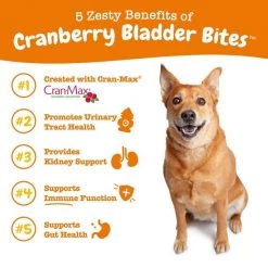 Zesty Paws Cranberry Bladder Bites Chicken & Liver Flavored Soft Chews Urinary Supplement for Dogs -Oxbow || Zesty Paws Sales 124694 PT4. SY630 V1644967652