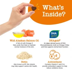 Zesty Paws Salmon Bites Salmon Flavored Soft Chews Skin & Coat Supplement for Dogs -Oxbow || Zesty Paws Sales 124703 PT3. SY630 V1644967967