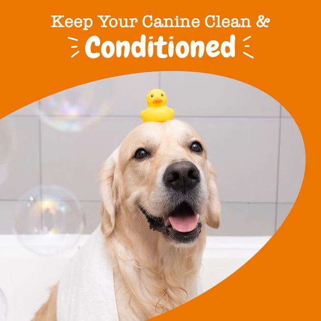 Zesty Paws Oatmeal Anti-Itch Conditioner with Aloe Vera & Organic Shea Butter for Dogs 8 Zesty Paws Oatmeal Anti-Itch Conditioner with Aloe Vera & Organic Shea Butter for Dogs - Image 6