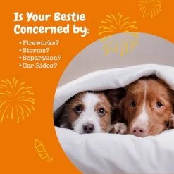 Zesty Paws Calming Bites Turkey Flavored Soft Chews Calming Supplement for Dogs -Oxbow || Zesty Paws Sales 132454 PT5. SY630 V1644967630