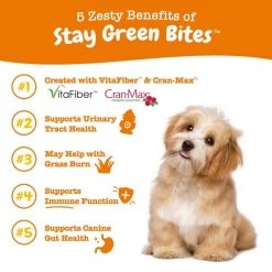 Zesty Paws Stay Green Bites Chicken Flavored Soft Chews Digestive Supplement for Dogs -Oxbow || Zesty Paws Sales 141488 PT4. SY630 V1644979706