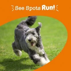 Zesty Paws Stay Green Bites Chicken Flavored Soft Chews Digestive Supplement for Dogs -Oxbow || Zesty Paws Sales 141488 PT5. SY630 V1644966711