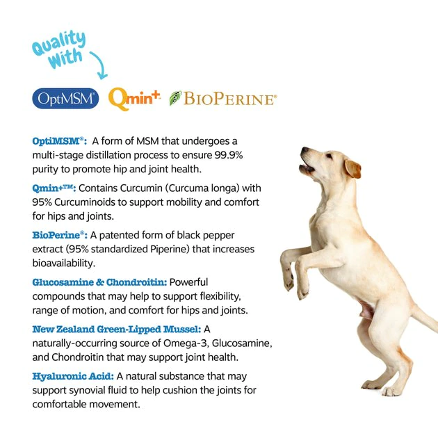 Zesty Paws Advanced Mobility Bites Chicken Flavored Soft Chews Hip & Joint Supplement for Senior Dogs 7 Zesty Paws Advanced Mobility Bites Chicken Flavored Soft Chews Hip & Joint Supplement for Senior Dogs - Image 5