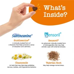 Zesty Paws Calming Bites Peanut Butter Flavored Soft Chews Calming Supplement for Dogs -Oxbow || Zesty Paws Sales 144152 PT3. SY630 V1644978995