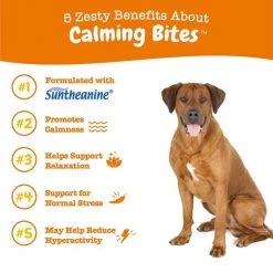 Zesty Paws Calming Bites Peanut Butter Flavored Soft Chews Calming Supplement for Dogs -Oxbow || Zesty Paws Sales 144152 PT4. SY630 V1644968198
