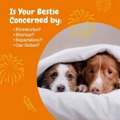 Zesty Paws Calming Bites Peanut Butter Flavored Soft Chews Calming Supplement for Dogs -Oxbow || Zesty Paws Sales 144152 PT5. SY630 V1644973019