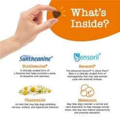 Zesty Paws Advanced Calming Bites Turkey Flavored Soft Chews Calming Supplement for Dogs -Oxbow || Zesty Paws Sales 144154 PT3. SY630 V1644966134