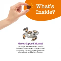 Zesty Paws Select Elements Mussel Mobility Bites Chicken Flavored Soft Chews Hip & Joint Supplement for Dogs, 90 count -Oxbow || Zesty Paws Sales 147730 PT3. SY630 V1659820911