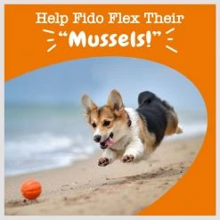 Zesty Paws Select Elements Mussel Mobility Bites Chicken Flavored Soft Chews Hip & Joint Supplement for Dogs, 90 count -Oxbow || Zesty Paws Sales 147730 PT5. SY630 V1659822000
