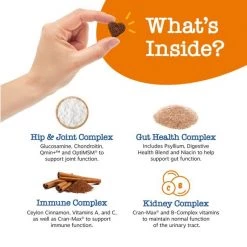 Zesty Paws Advanced 11-in-1 Bites Chicken Flavored Soft Chews Multivitamin for Senior Dogs -Oxbow || Zesty Paws Sales 147732 PT4. SY630 V1659821881