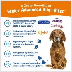 Zesty Paws Advanced 11-in-1 Bites Chicken Flavored Soft Chews Multivitamin for Senior Dogs -Oxbow || Zesty Paws Sales 147732 PT5. SY630 V1659822117