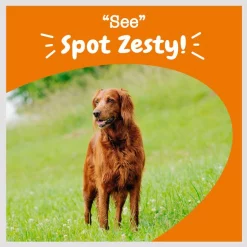 Zesty Paws Advanced Vision Bites Chicken Flavored Soft Chews Vision Supplement for Senior Dogs -Oxbow || Zesty Paws Sales 154820 PT5. SY630 V1659822057