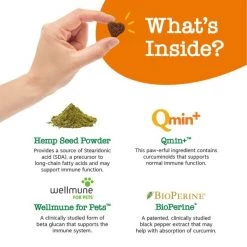 Zesty Paws Hemp Elements Aller-Immune Bites Cheese Flavored Soft Chews Allergy & Immune Supplement for Dogs -Oxbow || Zesty Paws Sales 154822 PT3. SY630 V1659821151