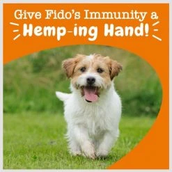 Zesty Paws Hemp Elements Aller-Immune Bites Cheese Flavored Soft Chews Allergy & Immune Supplement for Dogs -Oxbow || Zesty Paws Sales 154822 PT5. SY630 V1659821332