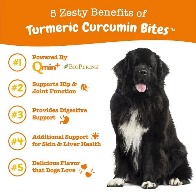 Zesty Paws Turmeric Curcumin Bites Bacon Flavored Soft Chews Multivitamin for Dogs 7 Zesty Paws Turmeric Curcumin Bites Bacon Flavored Soft Chews Multivitamin for Dogs - Image 5