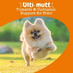 Zesty Paws Turmeric Curcumin Bites Bacon Flavored Soft Chews Multivitamin for Dogs 16 Zesty Paws Turmeric Curcumin Bites Bacon Flavored Soft Chews Multivitamin for Dogs -Oxbow || Zesty Paws Sales 154830 PT5. SY630 V1644982014