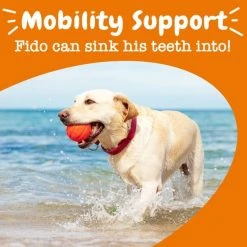 Zesty Paws Hemp Elements Mobility OraStix Peppermint Flavor Dog Dental Chews -Oxbow || Zesty Paws Sales 156942 PT5. SY630 V1657656008