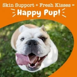 Zesty Paws Hemp Elements Omega OraStix Peppermint Flavor Dog Dental Chews -Oxbow || Zesty Paws Sales 156999 PT5. SY630 V1657656007