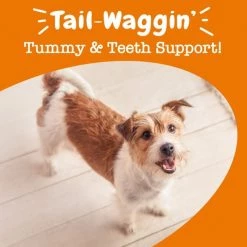 Zesty Paws Hemp Elements Probiotic OraStix Peppermint Flavor Dog Dental Chews -Oxbow || Zesty Paws Sales 157001 PT5. SY630 V1657656006