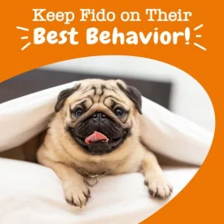 Zesty Paws Hemp Elements Calming OraStix Peppermint Flavored Soft Chews Calming Supplement for Dogs 16 Zesty Paws Hemp Elements Calming OraStix Peppermint Flavored Soft Chews Calming Supplement for Dogs -Oxbow || Zesty Paws Sales 183656 PT5. SY630 V1657656130