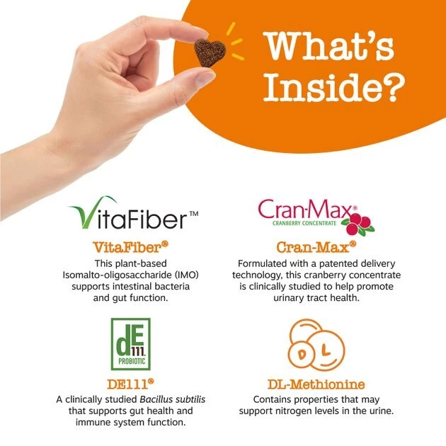 Zesty Paws Stay Green Bites Beef Flavored Soft Chews Digestive Supplement for Dogs 6 Zesty Paws Stay Green Bites Beef Flavored Soft Chews Digestive Supplement for Dogs - Image 4