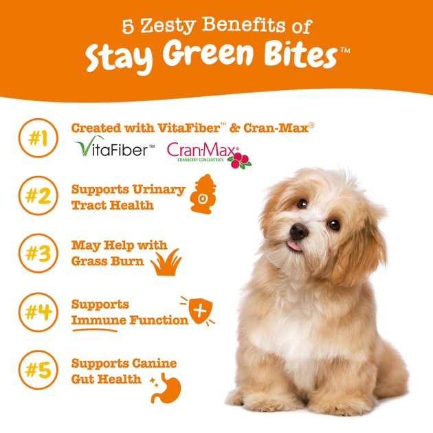 Zesty Paws Stay Green Bites Beef Flavored Soft Chews Digestive Supplement for Dogs 7 Zesty Paws Stay Green Bites Beef Flavored Soft Chews Digestive Supplement for Dogs - Image 5