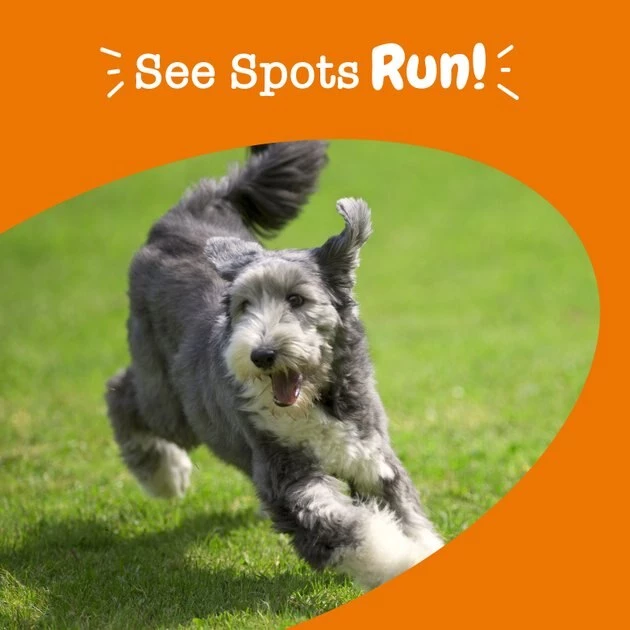 Zesty Paws Stay Green Bites Beef Flavored Soft Chews Digestive Supplement for Dogs 8 Zesty Paws Stay Green Bites Beef Flavored Soft Chews Digestive Supplement for Dogs - Image 6