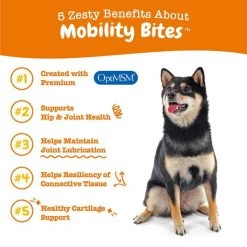 Zesty Paws Mobility Bites Bacon Flavored Soft Chews Hip & Joint Supplement for Dogs 15 Zesty Paws Mobility Bites Bacon Flavored Soft Chews Hip & Joint Supplement for Dogs -Oxbow || Zesty Paws Sales 200079 PT4. SY630 V1644978415