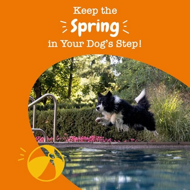 Zesty Paws Mobility Bites Bacon Flavored Soft Chews Hip & Joint Supplement for Dogs 8 Zesty Paws Mobility Bites Bacon Flavored Soft Chews Hip & Joint Supplement for Dogs - Image 6