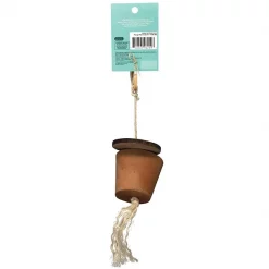 Oxbow Enriched Life Forage Pot Small Animal Chew Toy -Oxbow || Zesty Paws Sales 200206 PT1. SY630 V1568222838