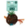 Oxbow Enriched Life Loco Ball Small Animal Toy -Oxbow || Zesty Paws Sales 200233 MAIN. SY630 V1568222874