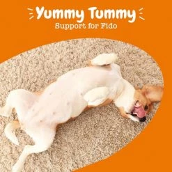 Zesty Paws Probiotic Flavor Infusions Chicken Flavored Liquid Digestive Supplement for Dogs -Oxbow || Zesty Paws Sales 205857 PT5. SY630 V1644904311