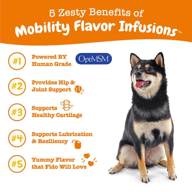 Zesty Paws Mobility Flavor Infusions Chicken Flavored Liquid Hip & Joint Supplement for Dogs, 16-oz bottle 7 Zesty Paws Mobility Flavor Infusions Chicken Flavored Liquid Hip & Joint Supplement for Dogs, 16-oz bottle - Image 5