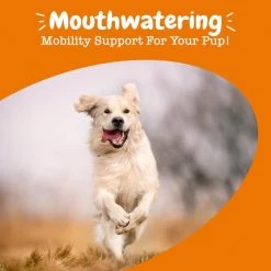 Zesty Paws Mobility Flavor Infusions Chicken Flavored Liquid Hip & Joint Supplement for Dogs, 16-oz bottle 16 Zesty Paws Mobility Flavor Infusions Chicken Flavored Liquid Hip & Joint Supplement for Dogs, 16-oz bottle -Oxbow || Zesty Paws Sales 205859 PT5. SY630 V1644910322