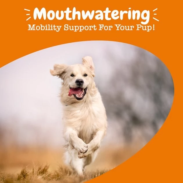 Zesty Paws Mobility Flavor Infusions Chicken Flavored Liquid Hip & Joint Supplement for Dogs, 16-oz bottle 8 Zesty Paws Mobility Flavor Infusions Chicken Flavored Liquid Hip & Joint Supplement for Dogs, 16-oz bottle - Image 6