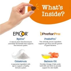 Zesty Paws Advanced Aller-Immune Bites Salmon Flavored Soft Chews Allergy & Immune Supplement for Senior Dogs -Oxbow || Zesty Paws Sales 224444 PT4. SY630 V1659821990