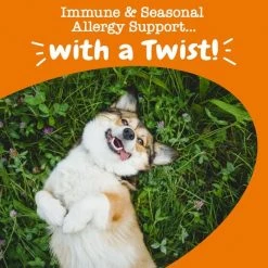 Zesty Paws Hemp Elements Aller-Immune OraStix Peppermint Flavor Dog Dental Chews -Oxbow || Zesty Paws Sales 224446 PT6. SY630 V1657656281