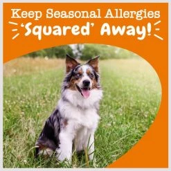 Zesty Paws Lil' Zesties Aller-Immune Squares Turkey Flavored Soft Chews Allergy & Immune Supplement for Dogs -Oxbow || Zesty Paws Sales 249397 PT5. SY630 V1659820974