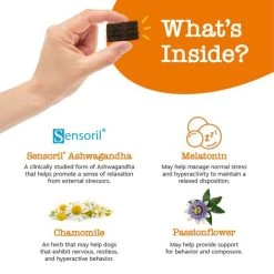 Zesty Paws Lil' Zesties Calming Squares Chicken Flavored Soft Chews Calming Supplement for Dogs -Oxbow || Zesty Paws Sales 249403 PT3. SY630 V1659821697