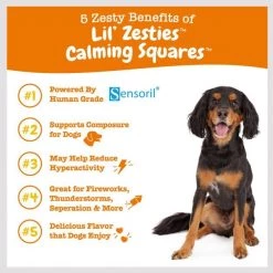Zesty Paws Lil' Zesties Calming Squares Chicken Flavored Soft Chews Calming Supplement for Dogs -Oxbow || Zesty Paws Sales 249403 PT4. SY630 V1659821945