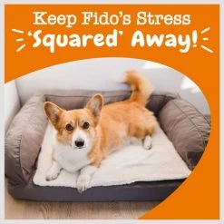 Zesty Paws Lil' Zesties Calming Squares Chicken Flavored Soft Chews Calming Supplement for Dogs -Oxbow || Zesty Paws Sales 249403 PT5. SY630 V1659822181