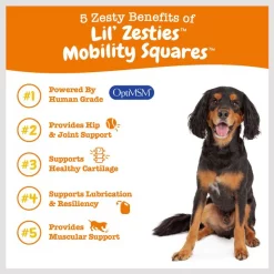 Zesty Paws Lil' Zesties Mobility Squares Chicken Flavored Soft Chews Hip & Joint Supplement for Dogs -Oxbow || Zesty Paws Sales 249406 PT4. SY630 V1659821278