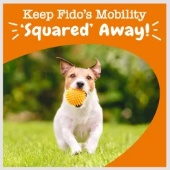 Zesty Paws Lil' Zesties Mobility Squares Chicken Flavored Soft Chews Hip & Joint Supplement for Dogs -Oxbow || Zesty Paws Sales 249406 PT5. SY630 V1659821092