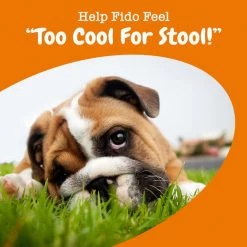 Zesty Paws Chew No Poo Bites Chicken Flavored Soft Chews Coprophagia Supplement for Dogs 16 Zesty Paws Chew No Poo Bites Chicken Flavored Soft Chews Coprophagia Supplement for Dogs -Oxbow || Zesty Paws Sales 249409 PT5. SY630 V1644972148