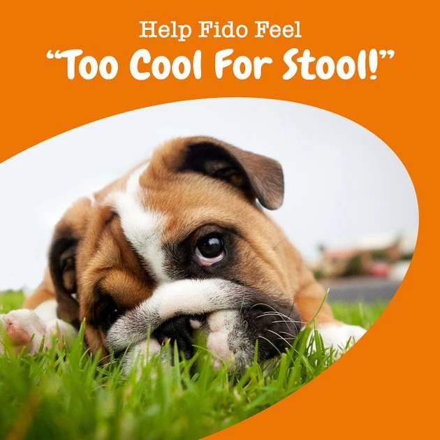 Zesty Paws Chew No Poo Bites Chicken Flavored Soft Chews Coprophagia Supplement for Dogs 8 Zesty Paws Chew No Poo Bites Chicken Flavored Soft Chews Coprophagia Supplement for Dogs - Image 6