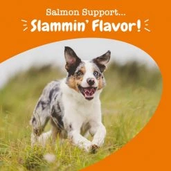Zesty Paws Salmon Bites Bacon & Salmon Flavored Soft Chews Skin & Coat Supplement for Dogs 16 Zesty Paws Salmon Bites Bacon & Salmon Flavored Soft Chews Skin & Coat Supplement for Dogs -Oxbow || Zesty Paws Sales 249411 PT5. SY630 V1644973324
