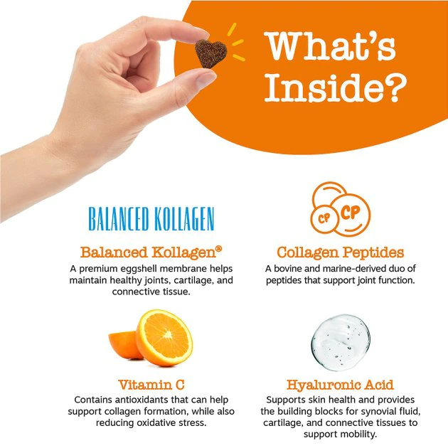 Zesty Paws Multi-Collagen Bites Chicken Flavored Soft Chews Multivitamin for Dogs 6 Zesty Paws Multi-Collagen Bites Chicken Flavored Soft Chews Multivitamin for Dogs - Image 4