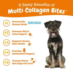 Zesty Paws Multi-Collagen Bites Chicken Flavored Soft Chews Multivitamin for Dogs 15 Zesty Paws Multi-Collagen Bites Chicken Flavored Soft Chews Multivitamin for Dogs -Oxbow || Zesty Paws Sales 249413 PT4. SY630 V1644976646